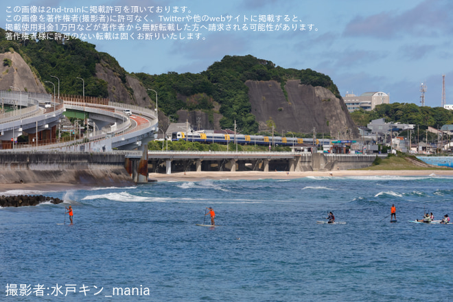 【JR東】255系マリBe-03編成が臨時特急「わかしお83号」に充当 - 勝浦～鵜原間にて撮影