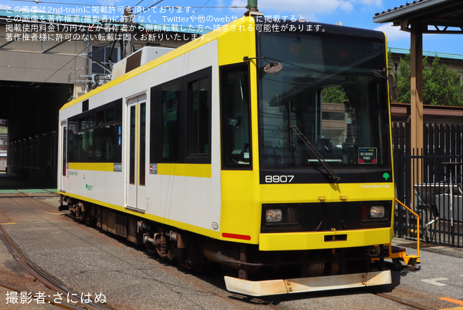 【都営】都電荒川線8900形8907号車を使用した貸切臨時列車が運転を荒川電車営業所で撮影した写真