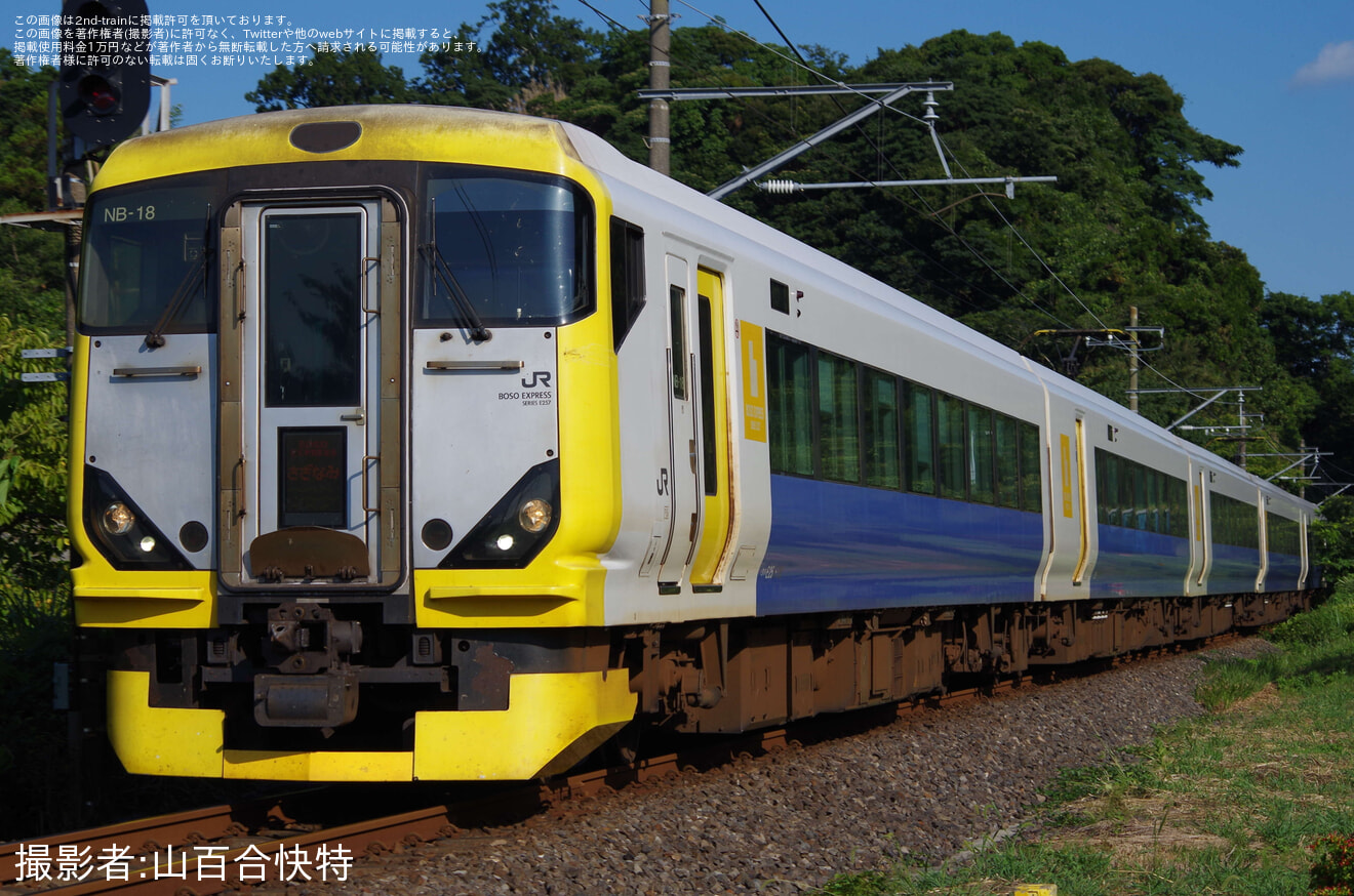 【JR東】館山始発の臨時特急「さざなみ92号」運転の拡大写真