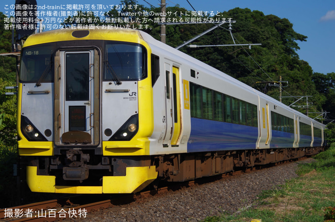 【JR東】館山始発の臨時特急「さざなみ92号」運転を岩井～安房勝山間で撮影した写真