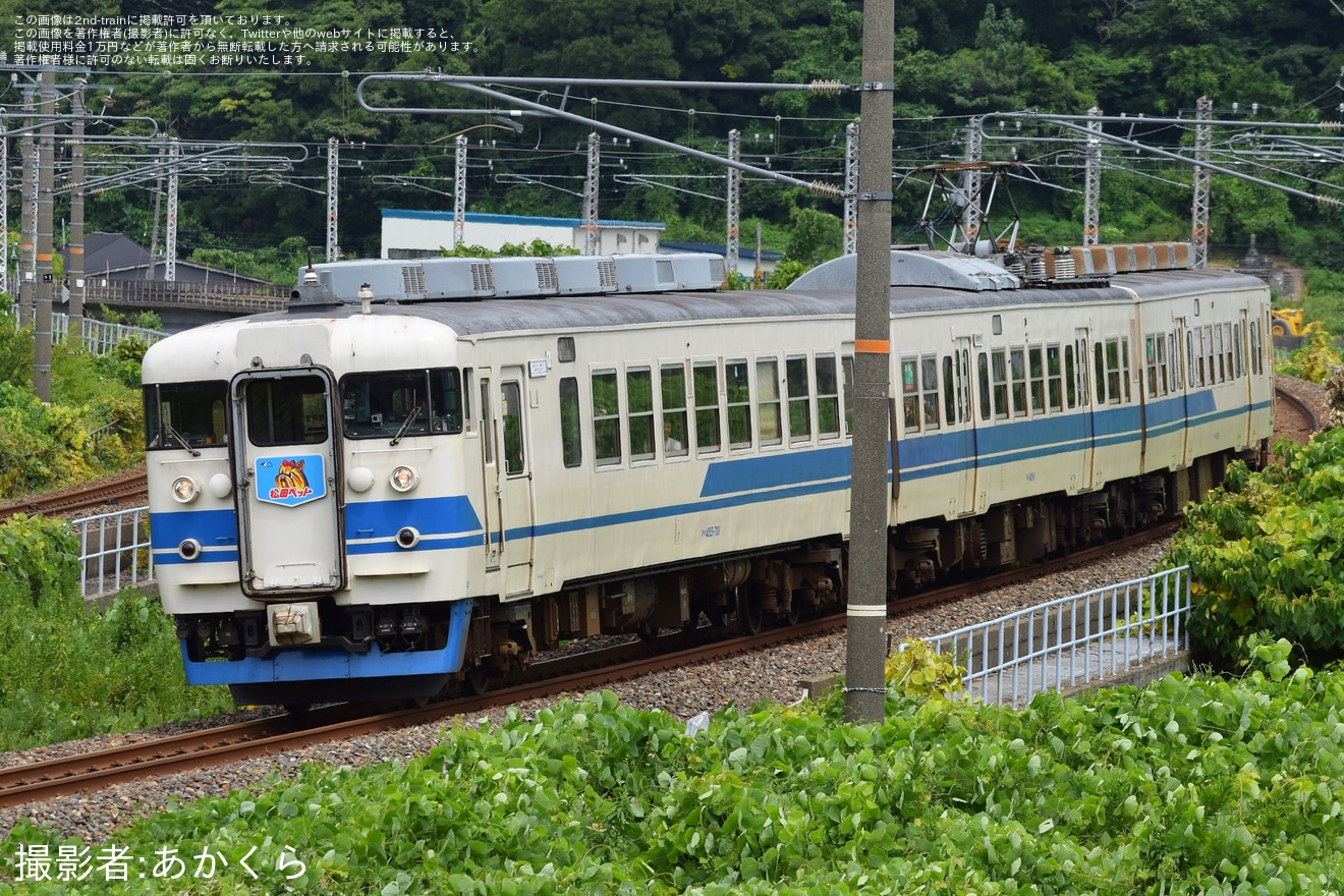 【トキ鉄】413・455系W01編成「TOKIトレイン」が松田ペット仕様で運行の拡大写真