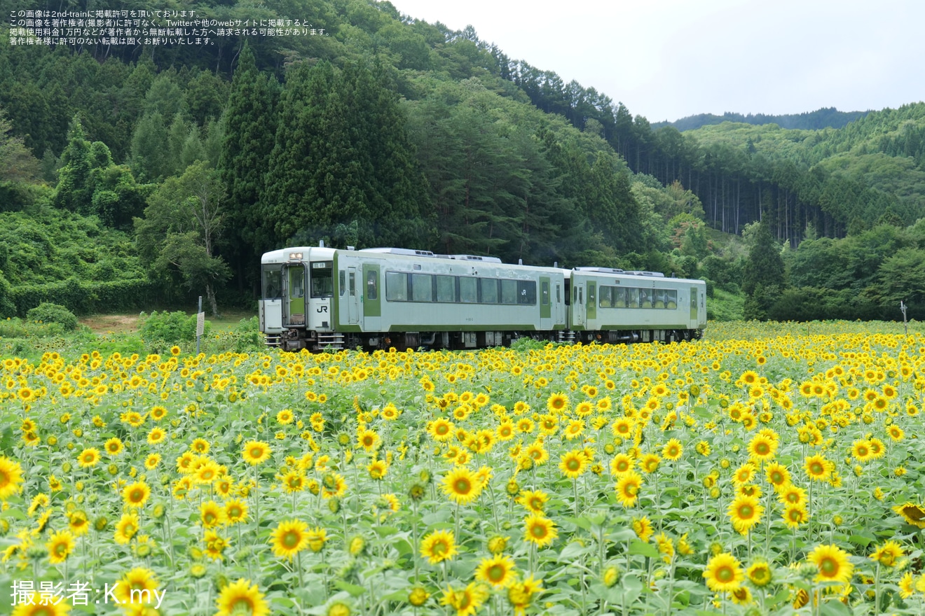 【JR東】キハ110系による臨時快速「はやちね」が運転の拡大写真