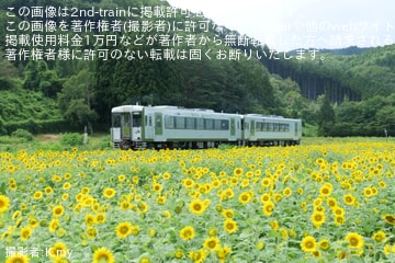 【JR東】キハ110系による臨時快速「はやちね」が運転