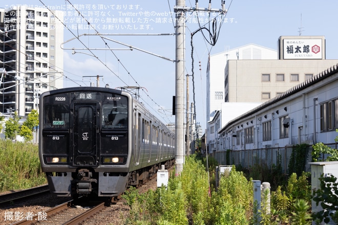 【JR九】813系RG2228編成+817系VG1603・VG1604編成が鹿児島本線で運用（4枚目）