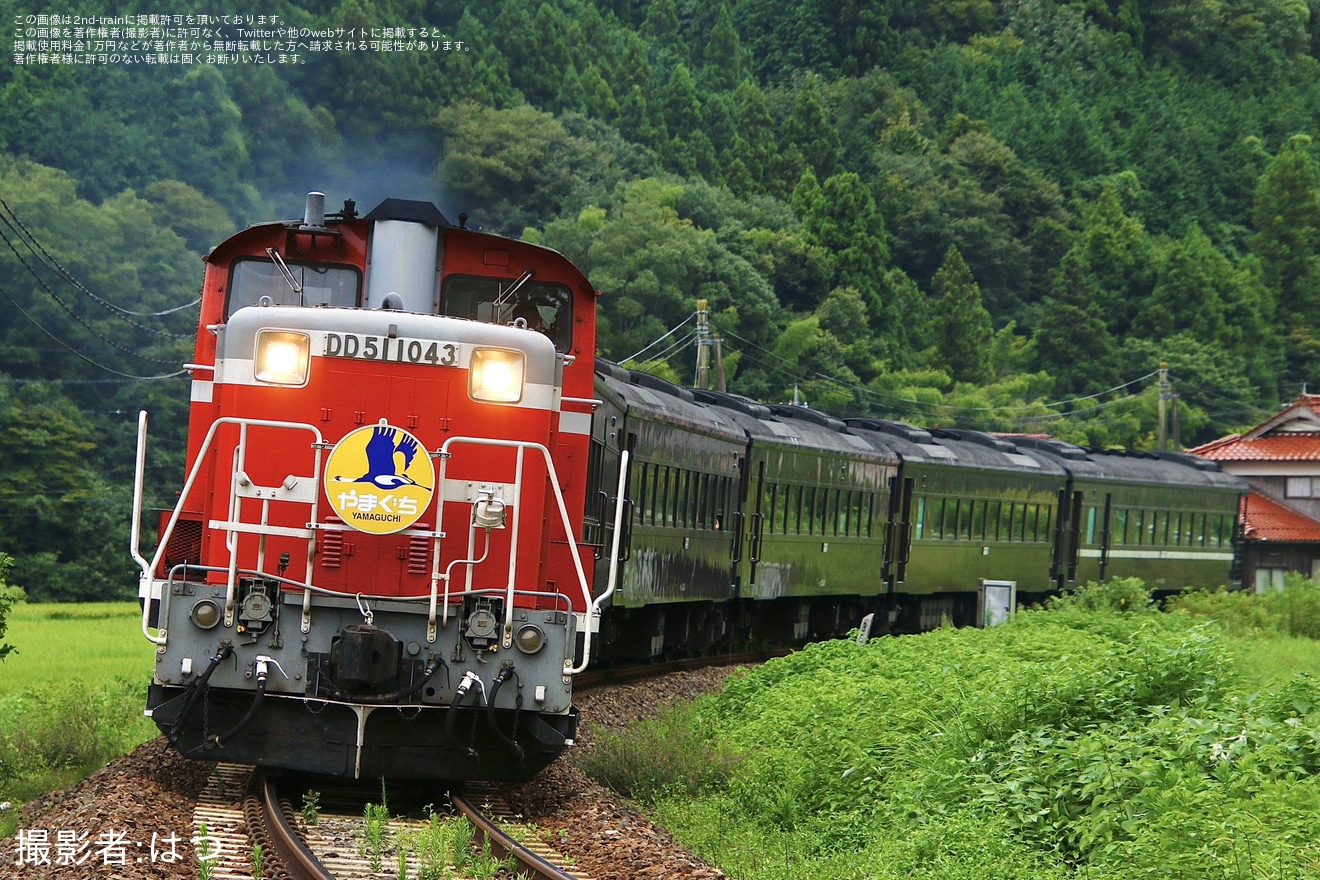 【JR西】DD51-1043牽引の「DLやまぐち号」が運転の拡大写真