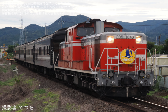 【JR西】DD51-1043牽引の「DLやまぐち号」が運転を矢原～大歳間で撮影した写真