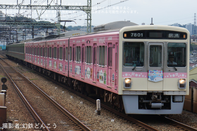 【京王】7000系7801F+7703Fが高幡不動へ回送を京王よみうりランド駅で撮影した写真