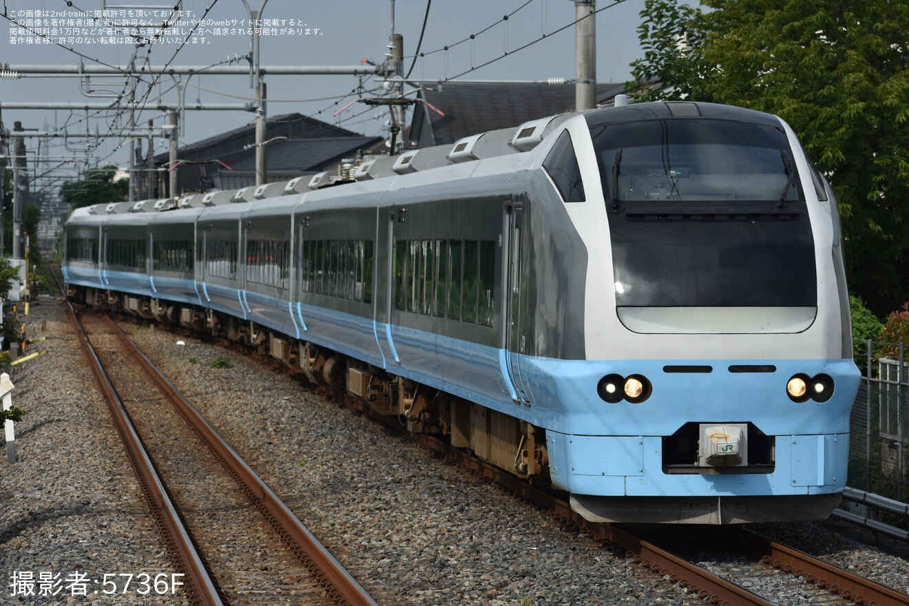 【JR東】E653系K71編成で臨時特急「ふわもこコキア夏遊び号」を運行の拡大写真