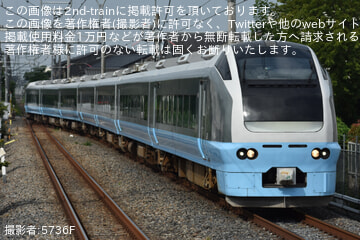 【JR東】E653系K71編成で臨時特急「ふわもこコキア夏遊び号」を運行
