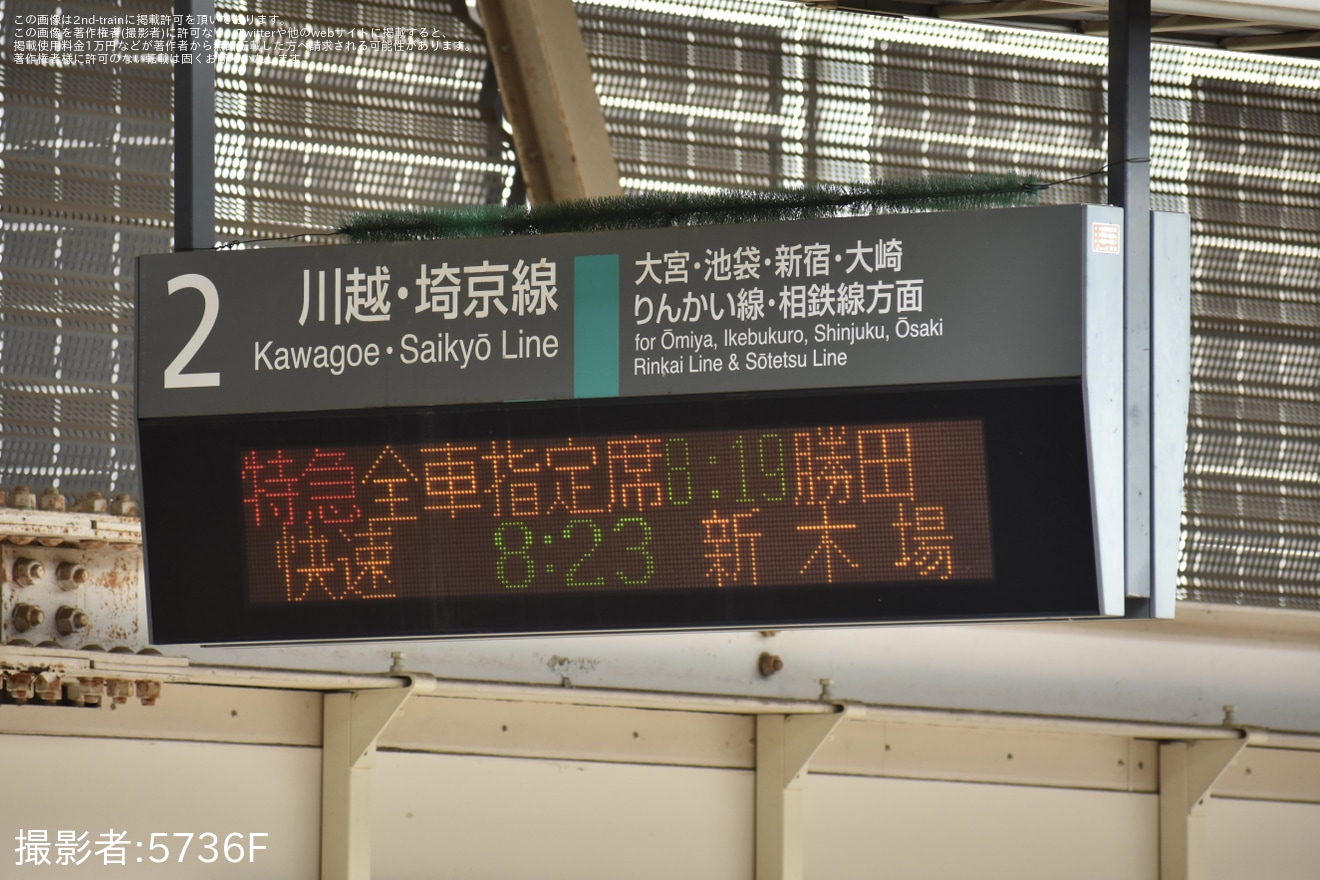 【JR東】E653系K71編成で臨時特急「ふわもこコキア夏遊び号」を運行の拡大写真