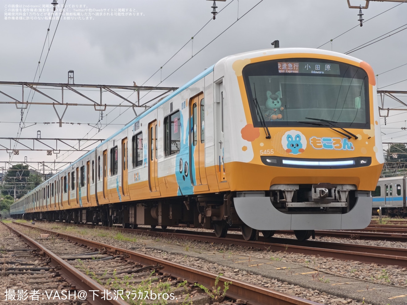【小田急】海老名電車基地で「もころん号」「もころんバス」撮影会の拡大写真