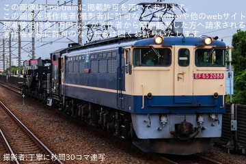 by丁寧に秒間30コマ連写