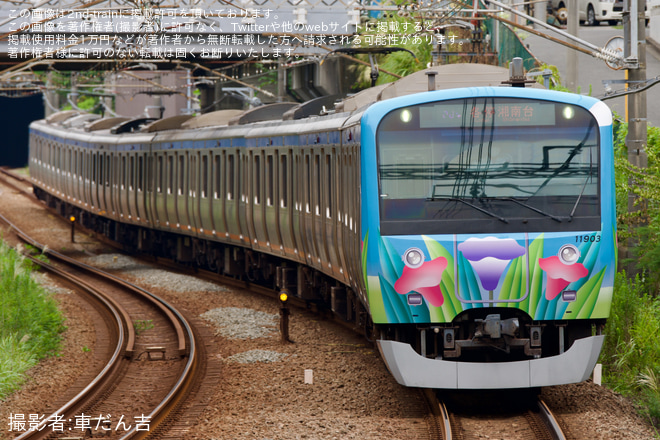 【相鉄】「ほほえみ号」ラッピングトレイン運行開始 - 南万騎が原にて撮影