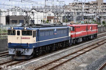 【JR貨】EH800-16大宮車両所出場