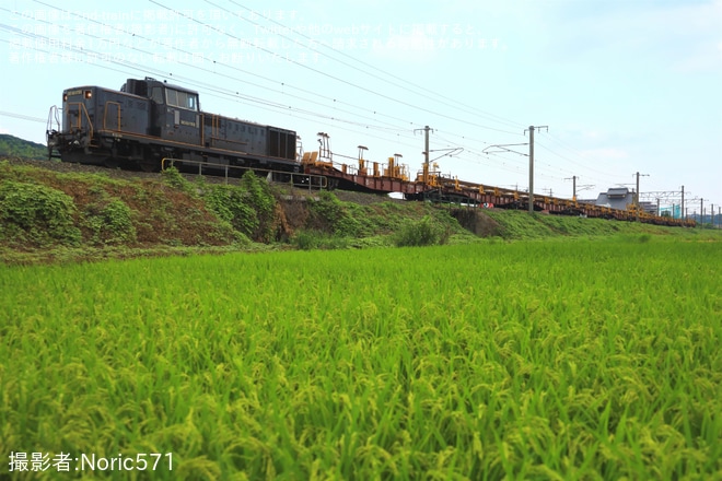 【JR九】DE10-1755牽引のロンチキ10両編成による西大分工臨の実施 - 水巻～遠賀川間にて撮影