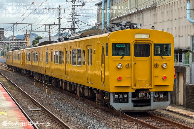 【JR西】115系T-11編成・T-12編成が廃車回送（4枚目）