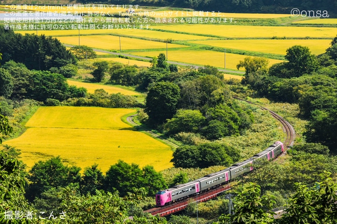 【JR北】キハ261系5000番台「はまなす編成」使用 臨時特急「ニセコ」を運行（2枚目）