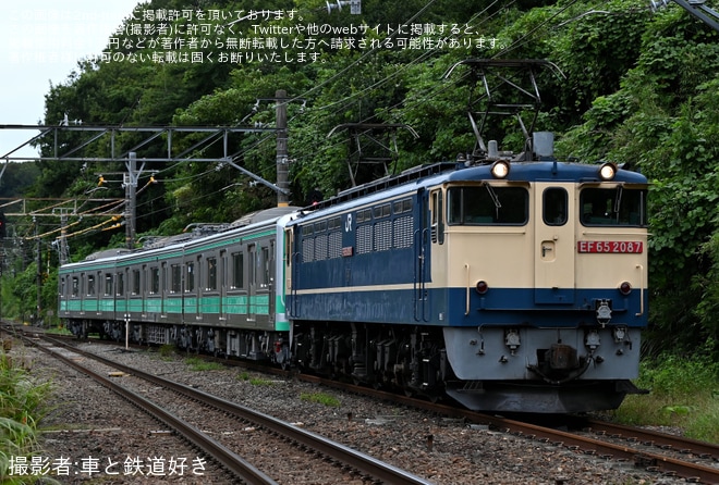【伊豆箱】5000系5505編成「ミント・スペクタクル・トレイン」大場工場出場甲種輸送（1枚目）