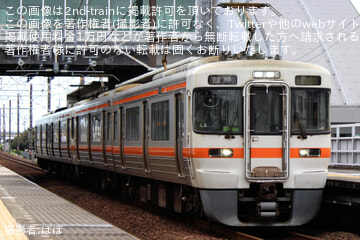 byぽぽ