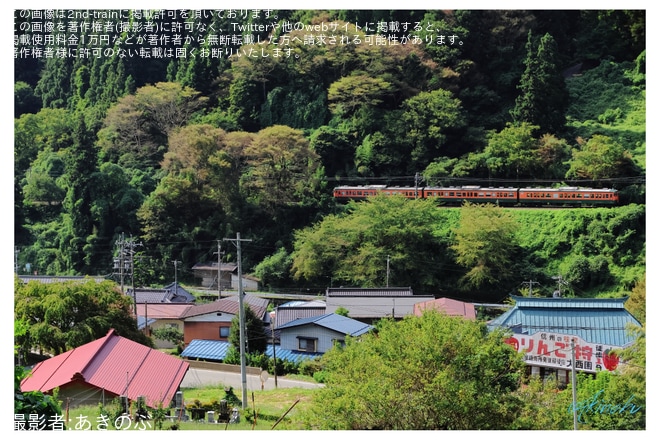 【しな鉄】115系S3編成使用の臨時快速「GTWS妙高号」を運行を不明で撮影した写真
