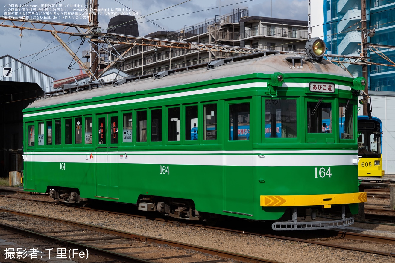 【阪堺】阪堺標準色のモ164・モ351など「あびこ道車庫撮影会ツアー」開催の拡大写真