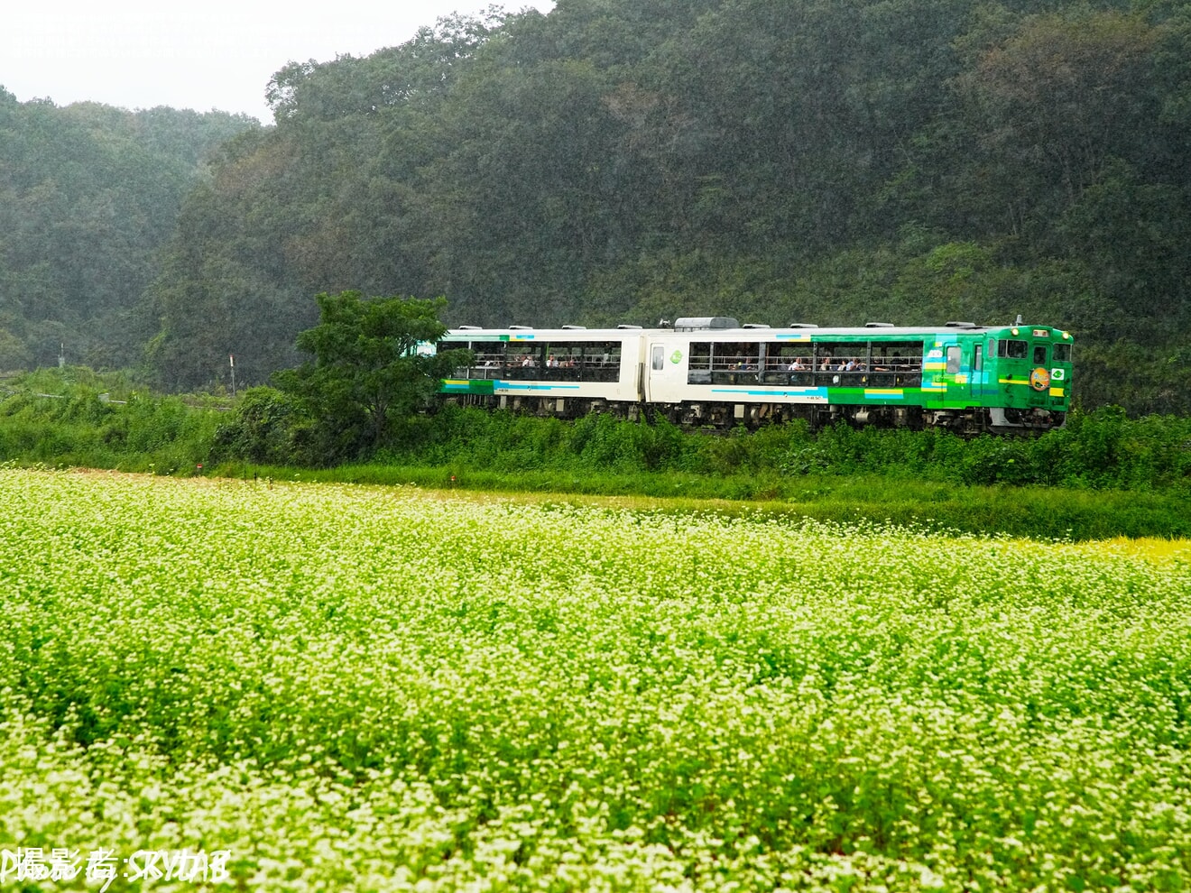 【JR東】キハ48形「風っこ」使用の臨時快速「風っこ奥久慈号」を運行の拡大写真