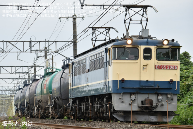 【JR貨】8764レをEF65-2086が代走(2026年9月29日)（1枚目）