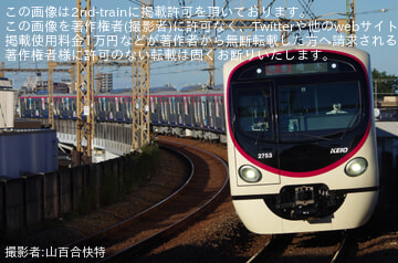 by山百合快特