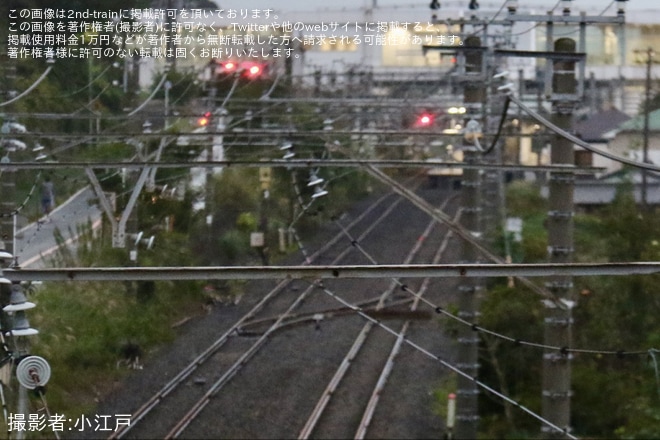 【JR東】長浦駅姉ケ崎方の仮設折り返し設備で分岐器と架線が設置（3枚目）