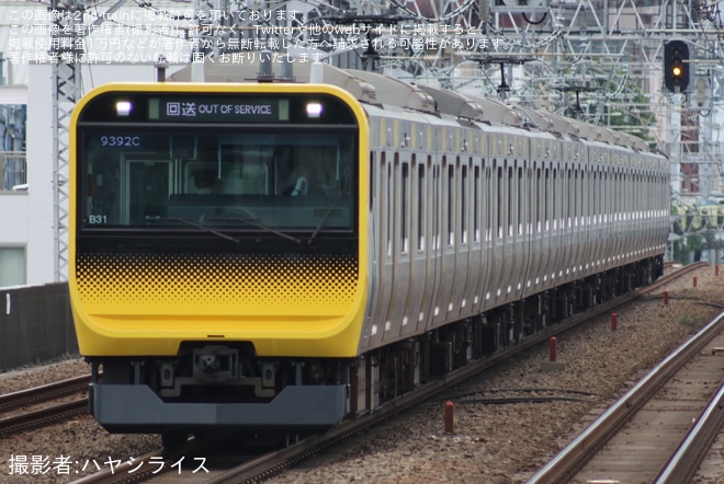 【JR東】E235系ミツB31編成が中野へ疎開回送（1枚目）