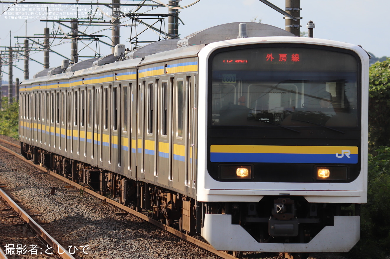【JR東】209系C603編成が所定8両編成の運用を6両で代走の拡大写真