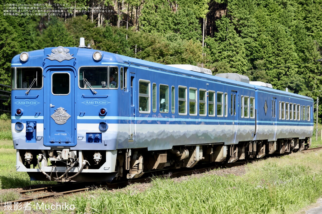 【JR西】「あめつち～秋の因美線～」を運行(2026年10月)の拡大写真