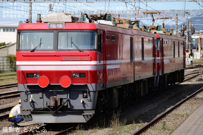 【JR貨】EH800-14が東福島へ向けて無動力回送（1枚目）