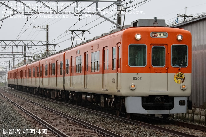【阪神】8000系8523Fにタイガース連覇記念ヘッドマーク（1枚目）