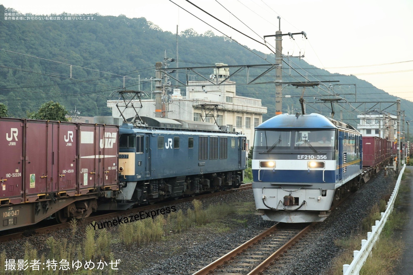 【JR貨】EF210-356が伯備線のEF64運用を代走の拡大写真