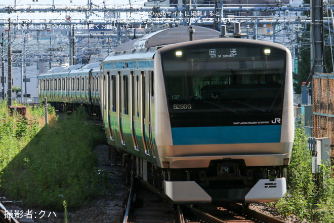 【JR東】E233系サイ137編成東京総合車両ベース出場回送 - 南浦和駅にて撮影