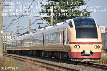 【JR東】臨時特急「絶景赤コキア高崎号」を運行
