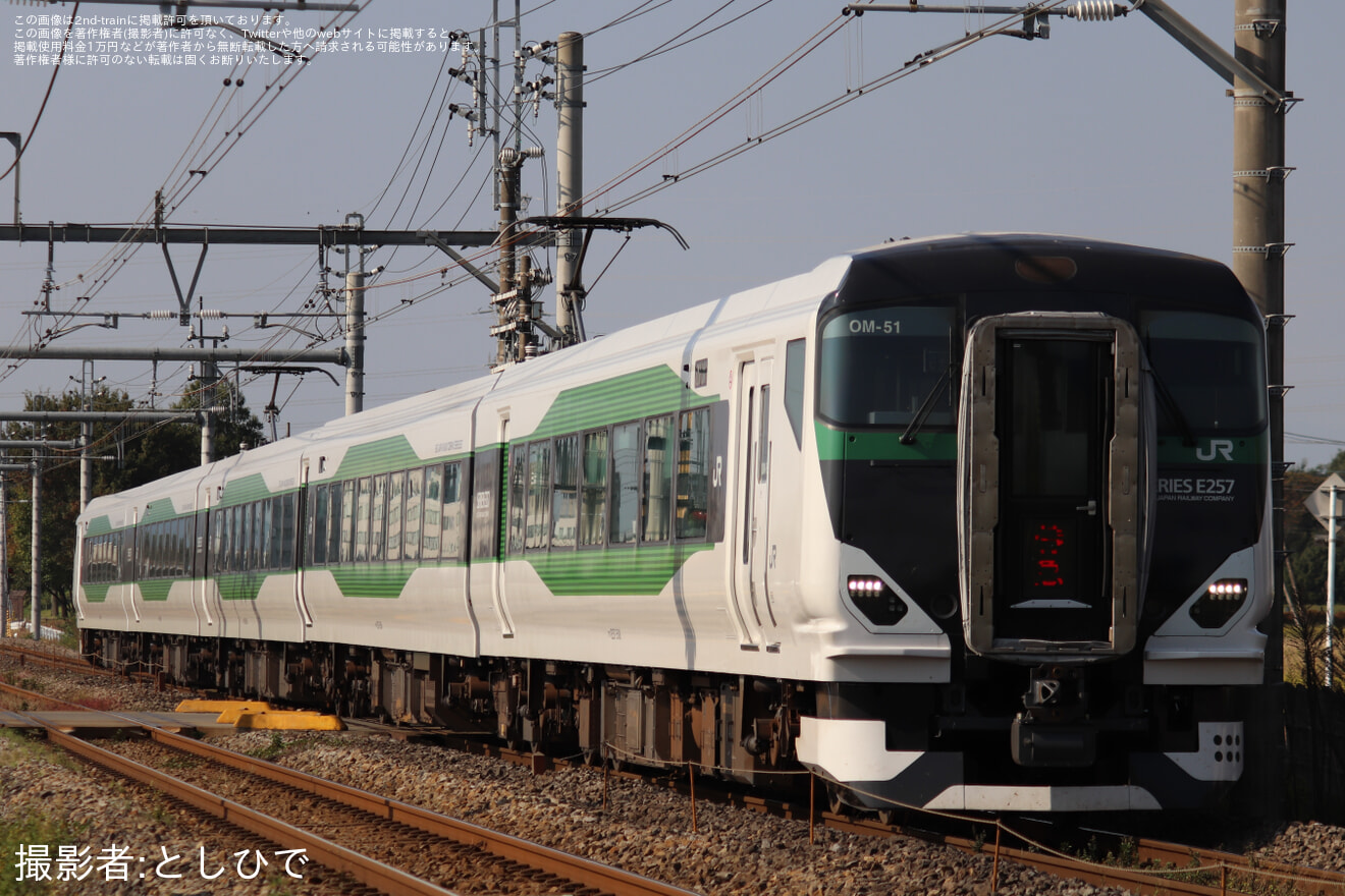 【JR東】E257系OM-51編成で「谷川岳もぐら」「谷川岳ループ」を運転の拡大写真