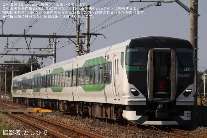 【JR東】E257系OM-51編成で「谷川岳もぐら」「谷川岳ループ」を運転 - 井野～新前橋間にて撮影