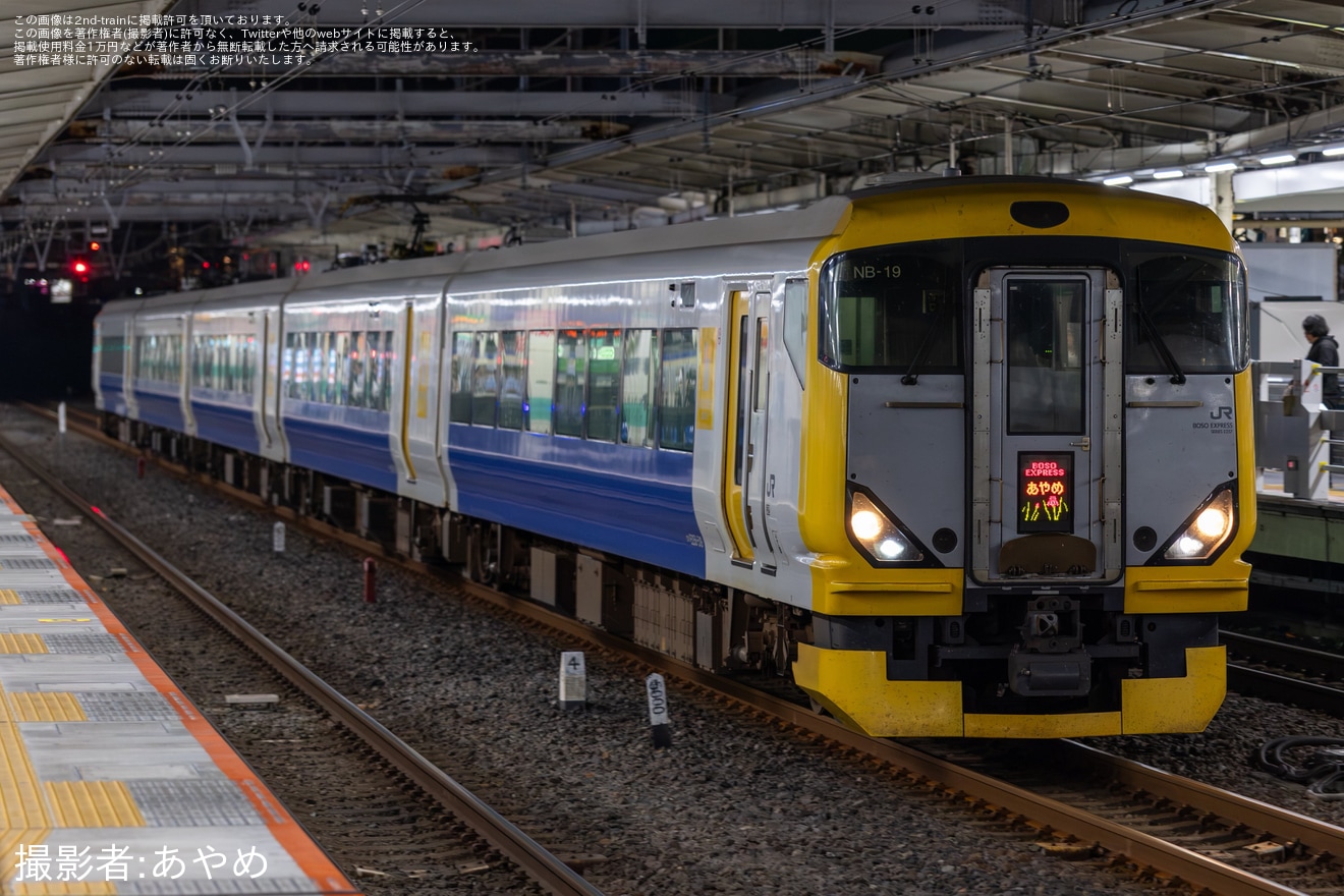 【JR東】E257系マリNB-19編成を使用した臨時特急「あやめ88号」が運転の拡大写真