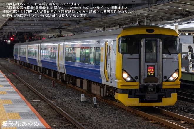 【JR東】E257系マリNB-19編成を使用した臨時特急「あやめ88号」が運転を不明で撮影した写真