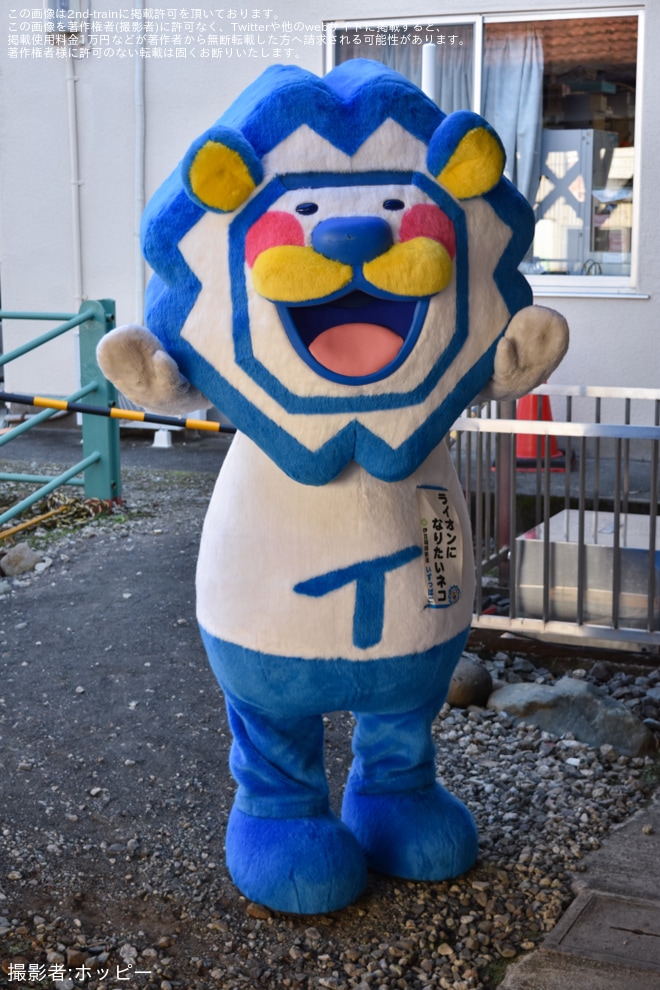 【伊豆箱】「大雄山線開業100周年感謝祭」開催 - 大雄山駅にて撮影