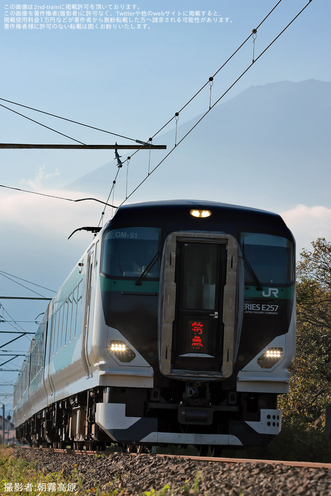 【JR東】E257系OM-51編成で臨時特急「Mt.Fuji御殿場」を運行（4枚目）