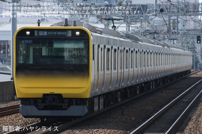 【JR東】E235系ミツB31編成が中野へ疎開回送（1枚目）
