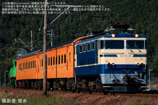【大鐵】きかんしゃパーシー号が運行再開を前に試運転（3枚目）