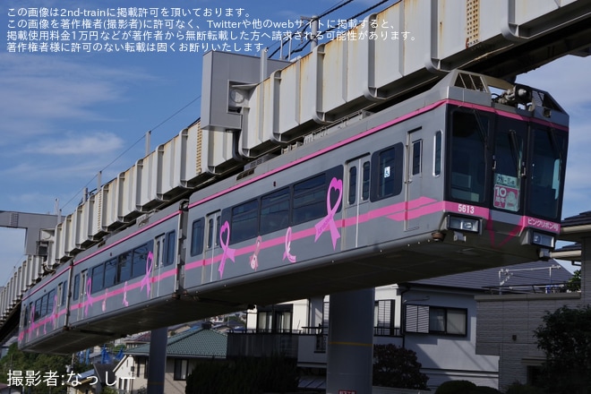 【湘モノ】5613編成「ピンクリボン号」に運行10周年記念ヘッドマークを取り付け（1枚目）