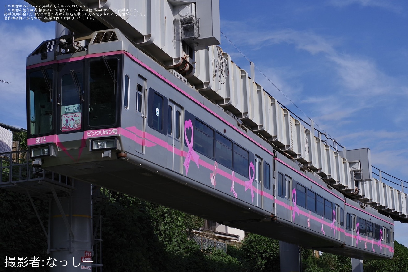 【湘モノ】5613編成「ピンクリボン号」に運行10周年記念ヘッドマークを取り付けの拡大写真