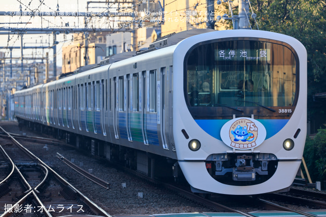 【西武】30000系38115F「飯能信用金庫 創立75周年記念つながりす号」ラッピング掲出して運行 - 東長崎駅にて撮影