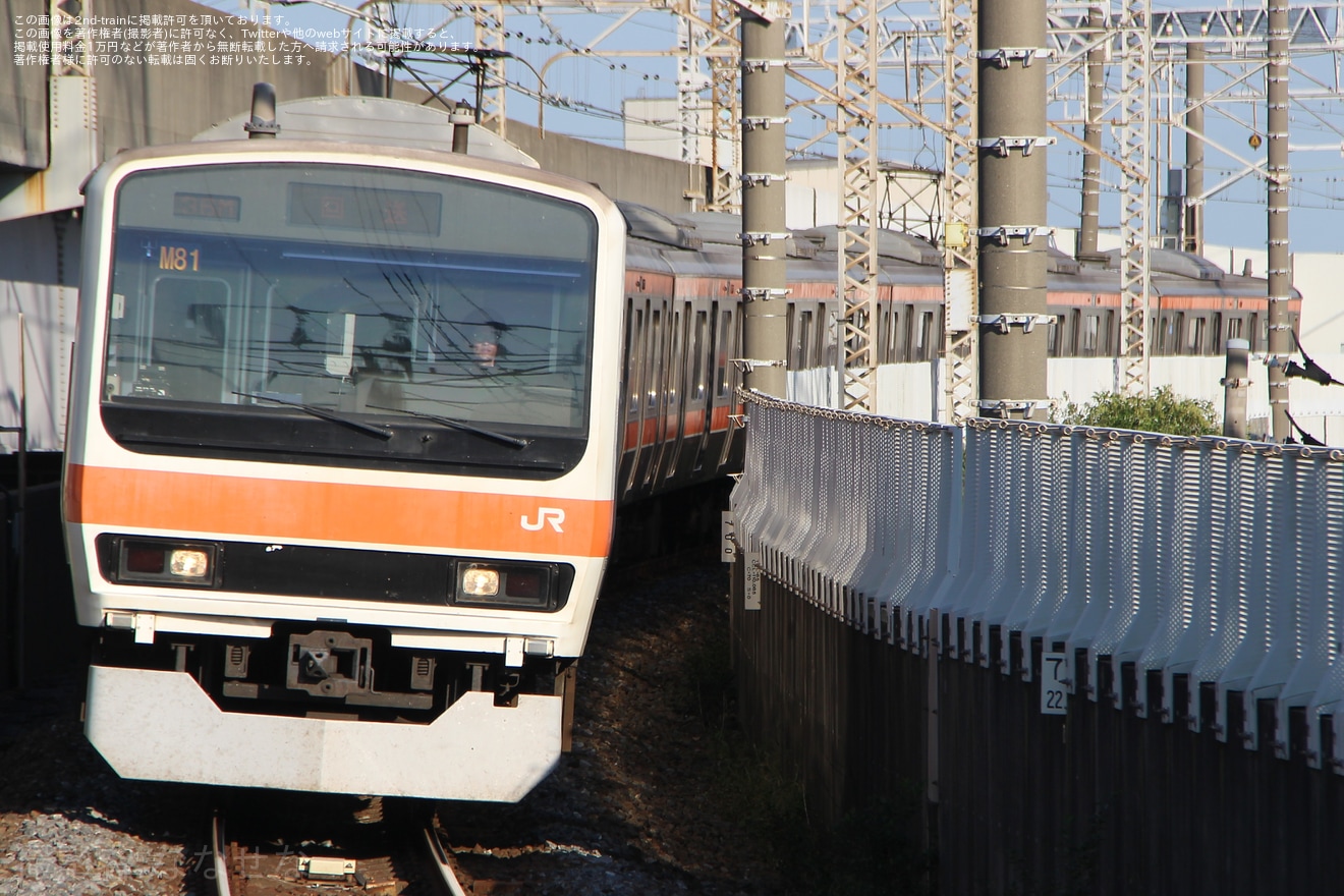 【JR東】209系ケヨM81編成使用「立川ひまわり号」が運転の拡大写真
