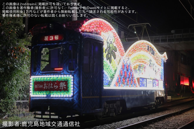 【鹿市交】花電車「花3号」がおはら祭に合わせて運行開始 - 南鹿児島駅前～涙橋間にて撮影
